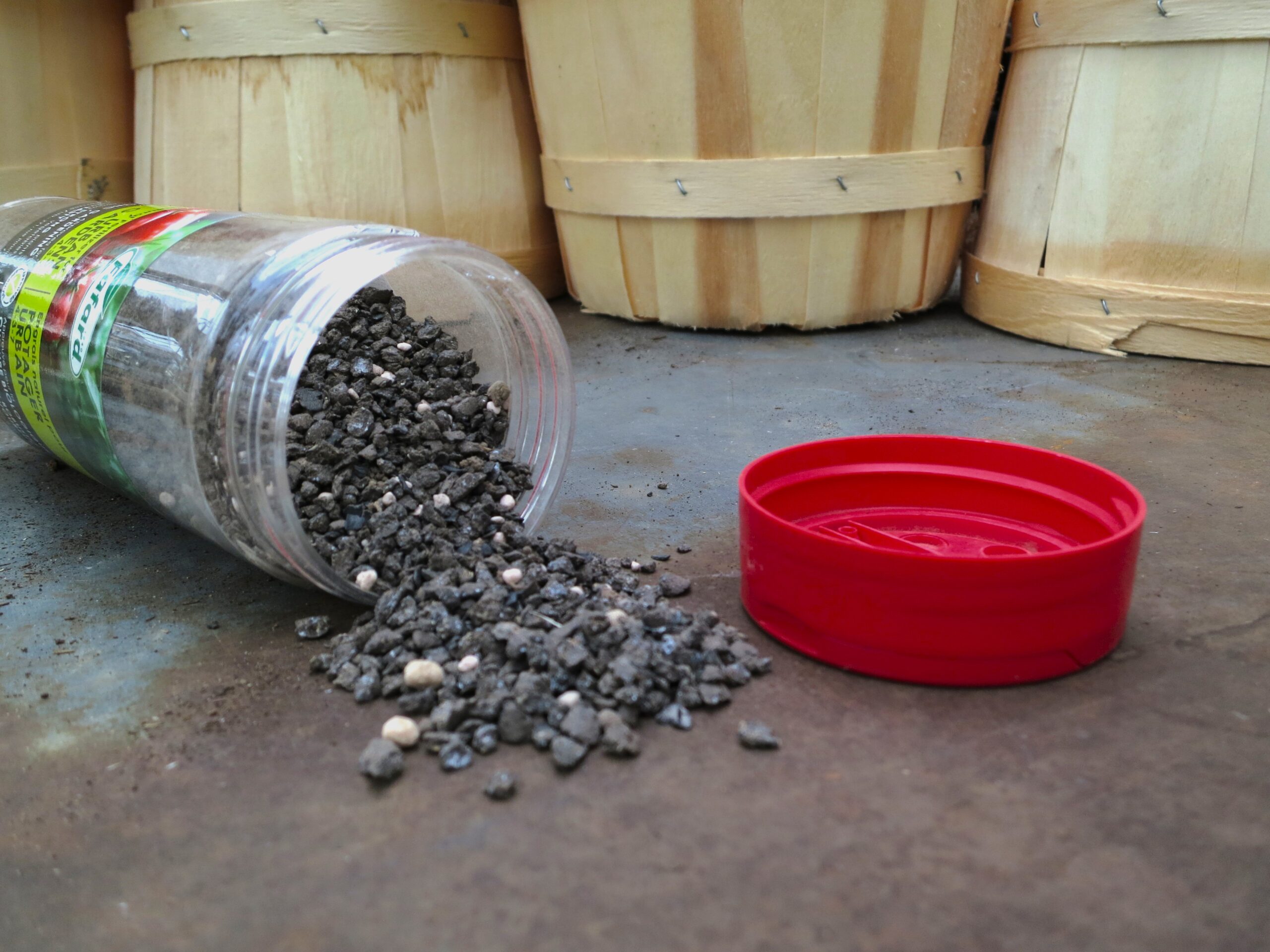 Plant Food for Thought: When to Fertilize